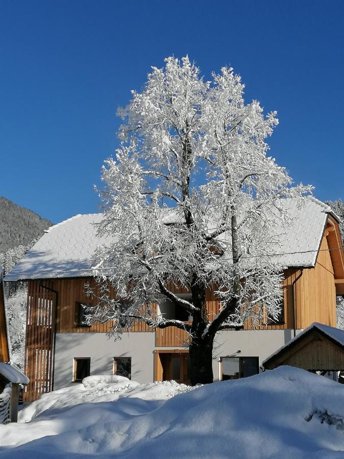 Apartments Gorski Raj Kranjska Gora Zewnętrze zdjęcie