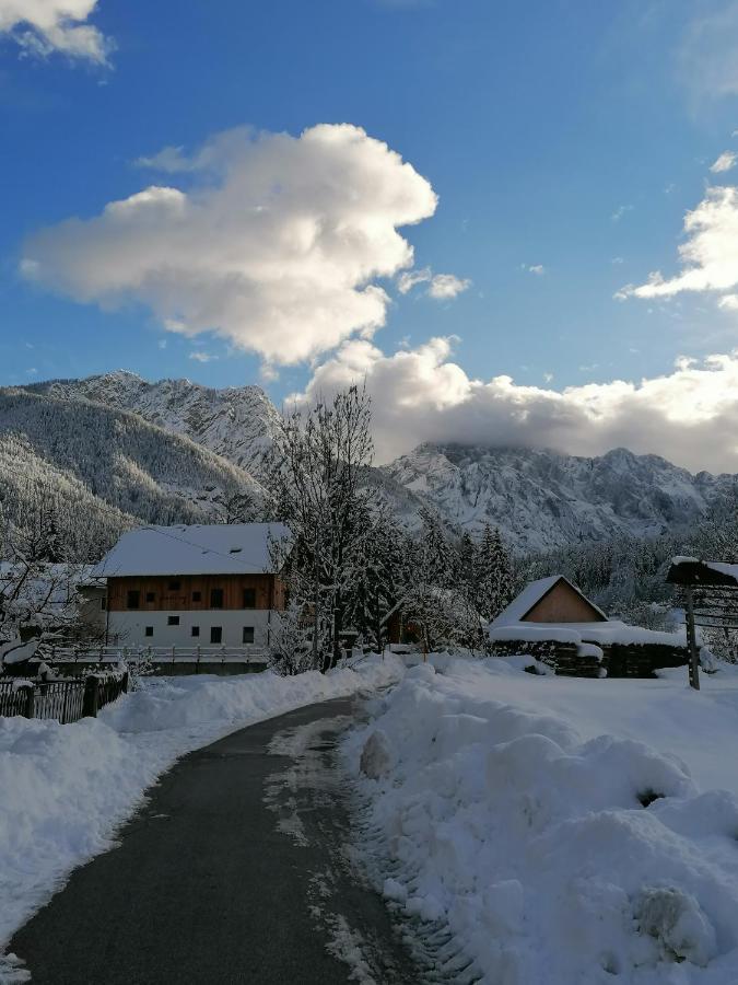 Apartments Gorski Raj Kranjska Gora Zewnętrze zdjęcie